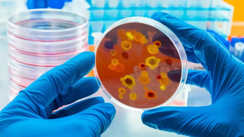 Әлемге қауіп төндіретін инфекция табылды