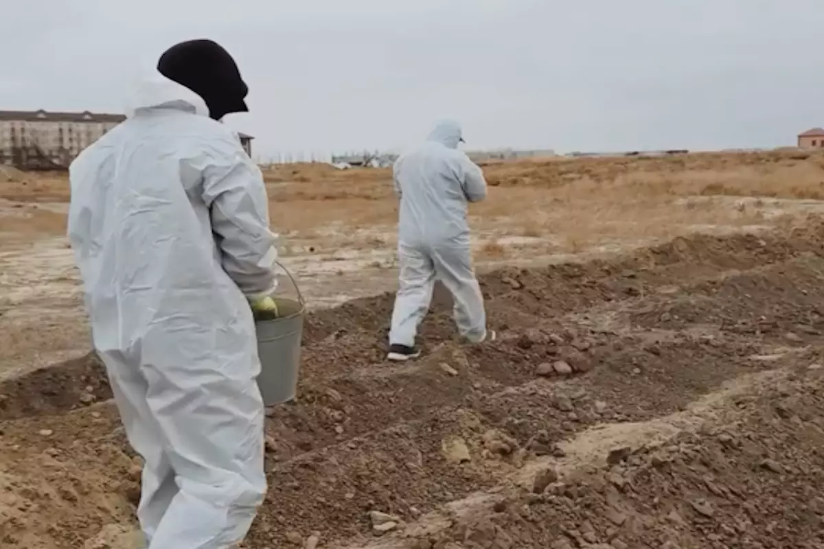 Война с вредителями: в пригородах Атырау начались дезинфекционные работы