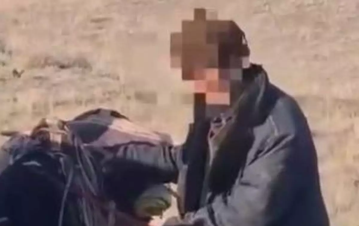 «Үш күн нәр татпаған»: Жамбылда 700 қойымен бірге адасып кеткен қойшы жайлы ақпар шықты