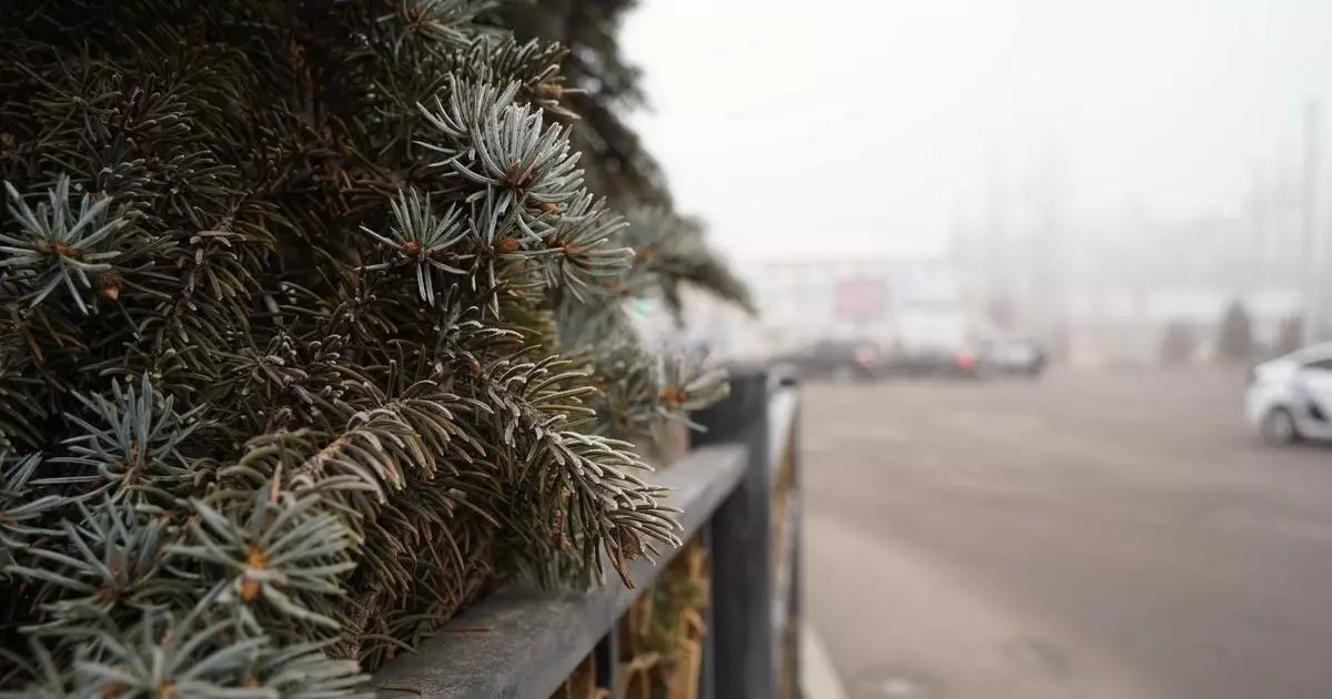 До 17 градусов тепла обещают в мегаполисах Казахстана в среду.