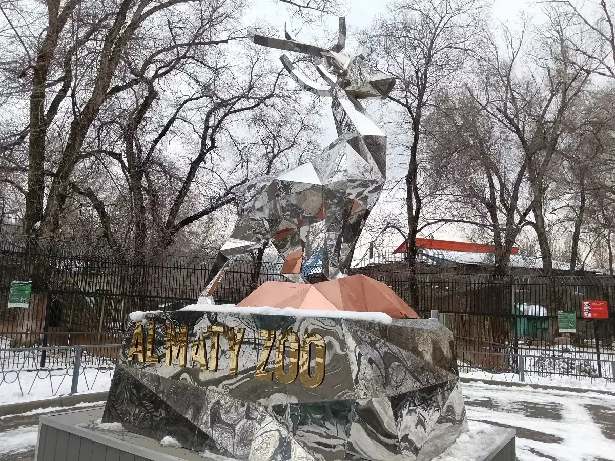 В Алматы готовят масштабную реконструкцию зоопарка