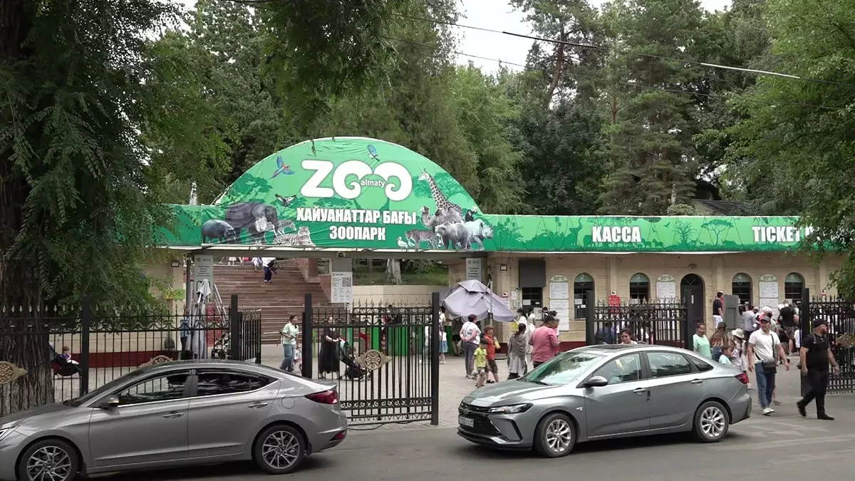 Алматы зообағын кең көлемде жаңғырту жоспарланып отыр
