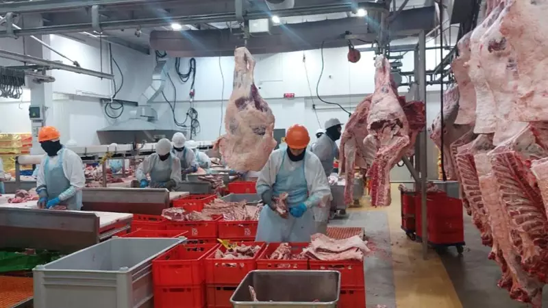 "Еще четыре казахстанские компании добавлены в список импортеров ОАЭ"