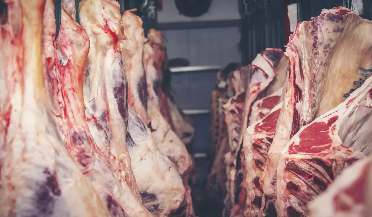 Мажилисмен просит отменить запрет на экспорт мяса из Казахстана