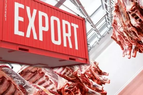 "Ограничения разрушают рынок": депутат требует отменить запрет на экспорт говядины