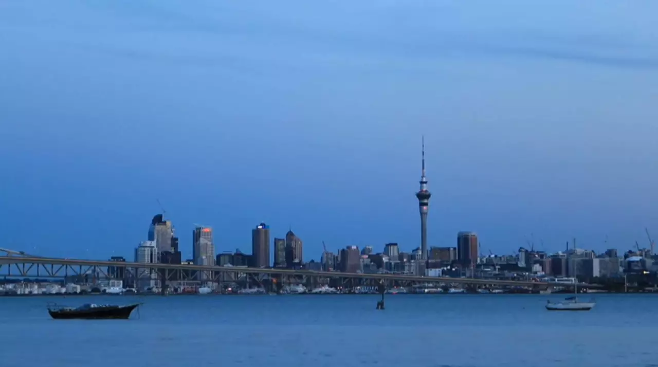 Жаңа Зеландия жабайы мысықтарды толық жоймақ