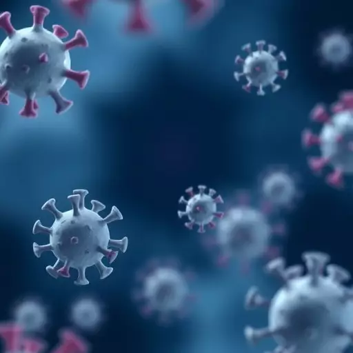 Использование ципрофлоксацина в Казахстане: влияние COVID-19 и стратегии по борьбе с устойчивостью к антимикробным препаратам.