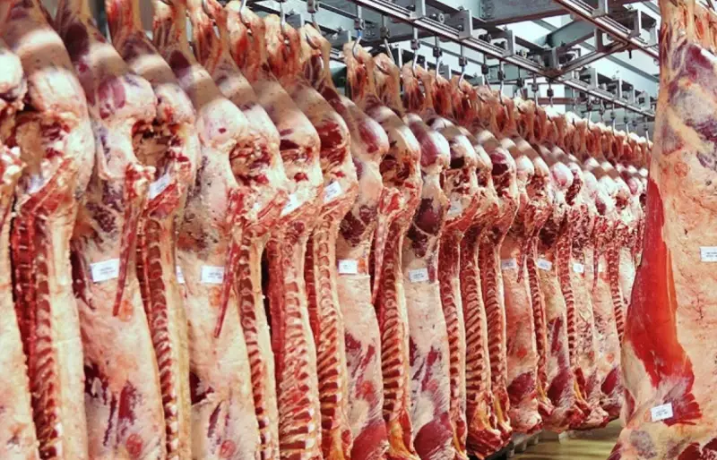 В Казахстане предложили отменить запрет на экспорт мяса