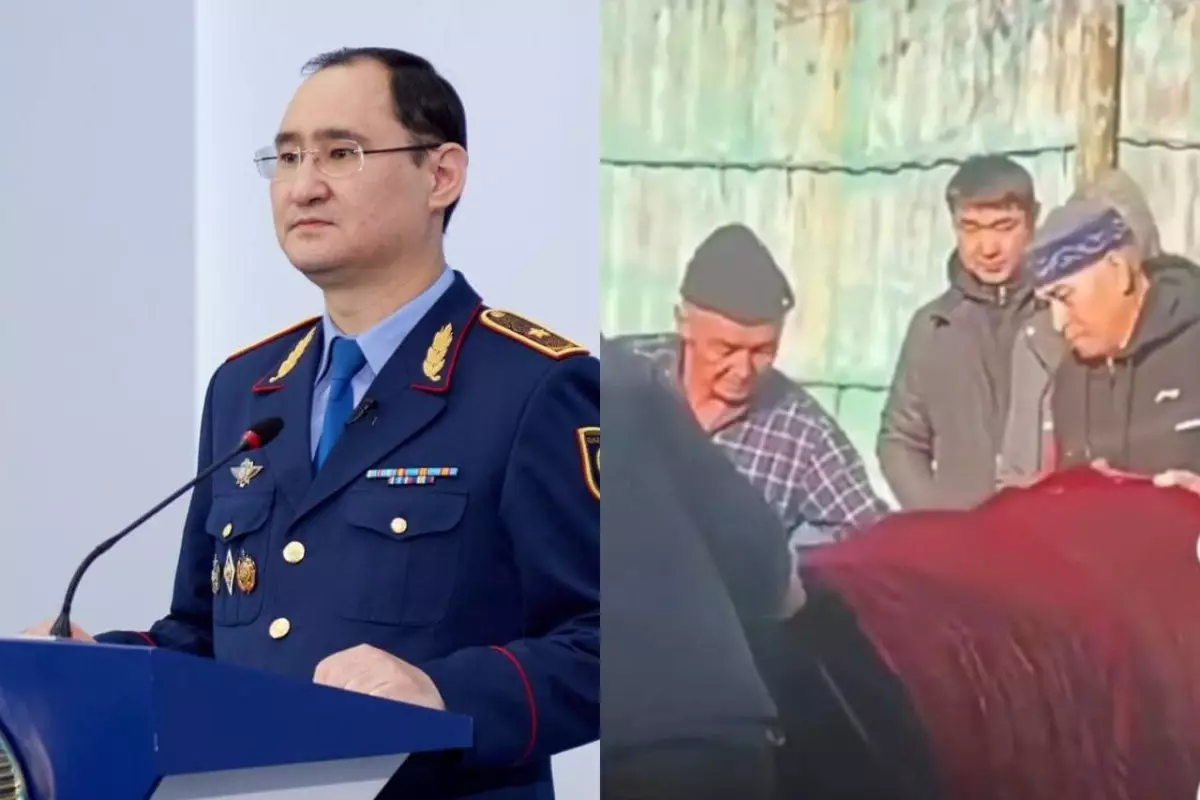 «Әкесі туған қызын пышақтап өлтірген»: Вице-министр іске қатысты мәлімдеме жасады