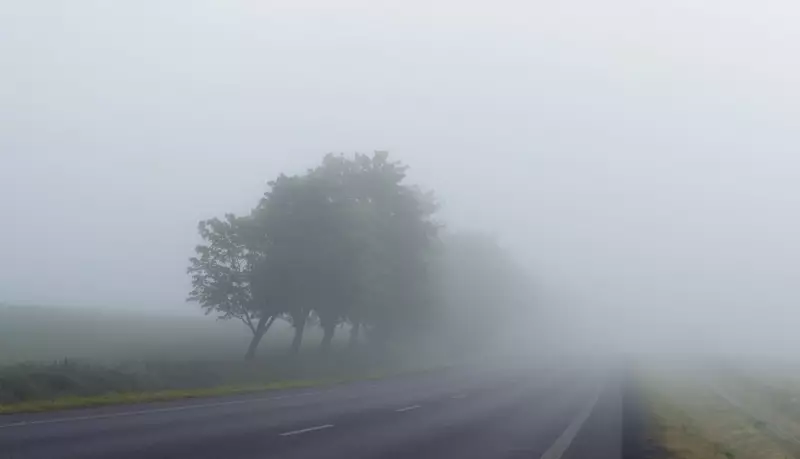 Сильный ветер и туман ожидаются в Казахстане