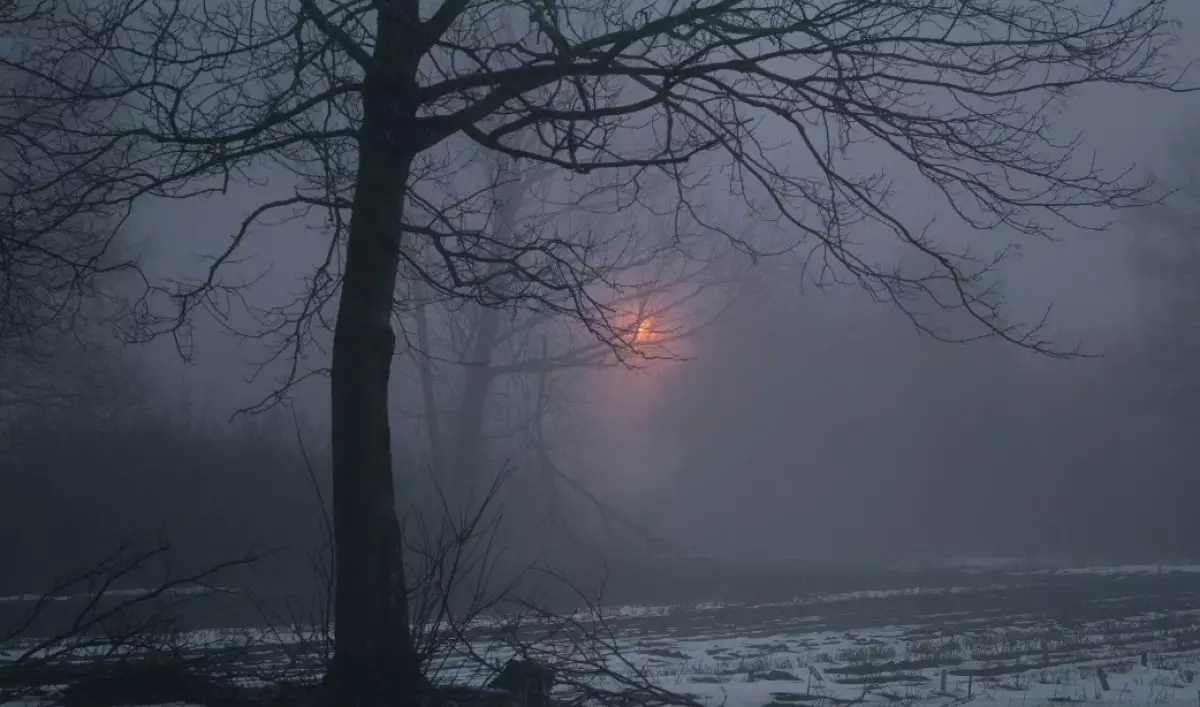 Тұман түсіп, қар жауады - бүгінге ауа райы болжамы