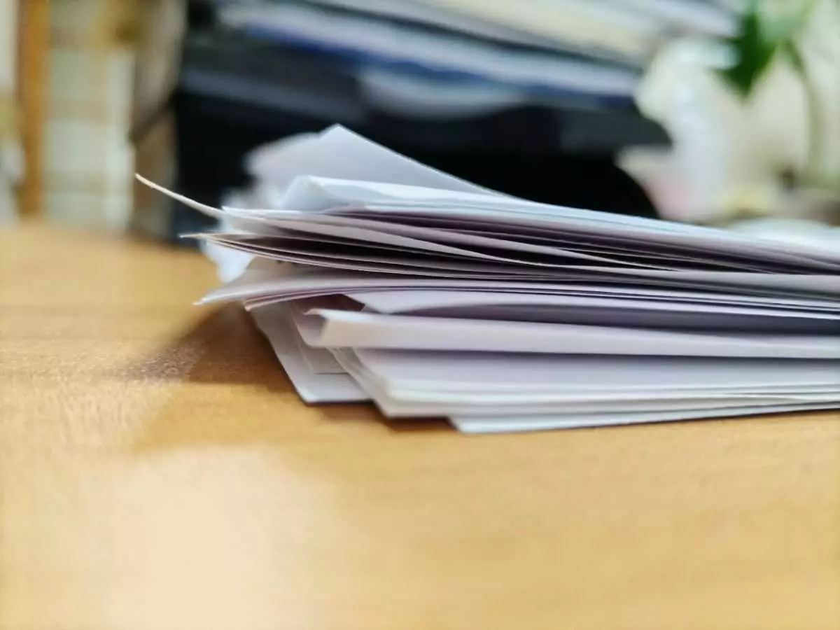 Новгородцы обсудят бизнес-проекты с представителями Казахстана, Монголии и других стран.