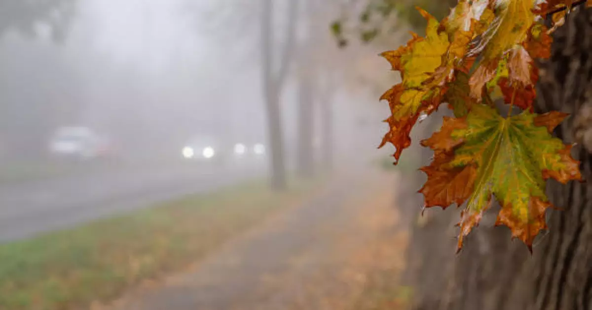   Қазақстанда бүгін ауа райы қандай болады?   