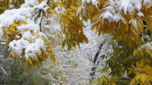 27–29 қарашаға арналған ауа райы болжамы