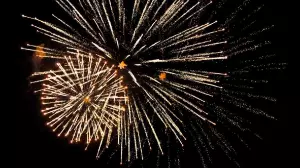 Отшашу атқандар 19 660 теңге айыппұл төлейді