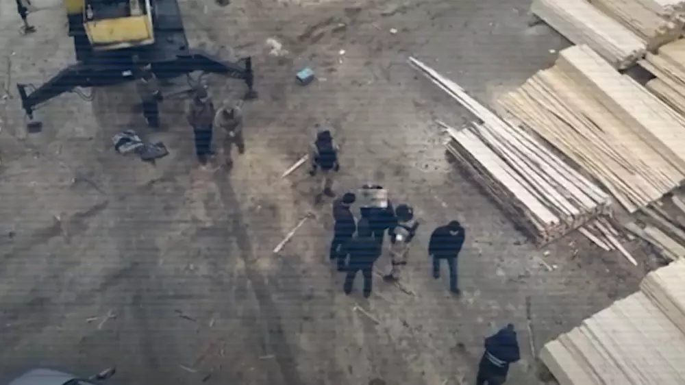 “Лесную мафию“ разоблачили на севере Казахстана, задержаны 20 человек