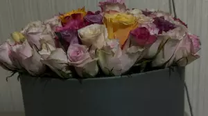 Қандай сыйлықтан бас тартқан дұрыс?