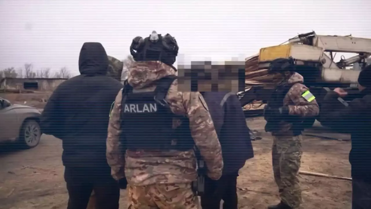 Незаконная вырубка леса: в Костанайской области задержали 20 человек