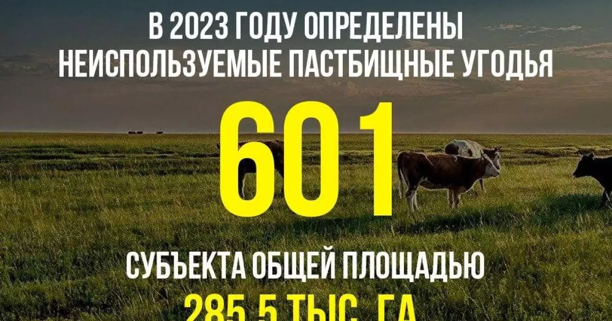  В 2023 году местными исполнительными органами города Конаев и районов определены неиспользуемые пастбищные угодья 601 субъекта общей площадью 285,5 тыс. га 