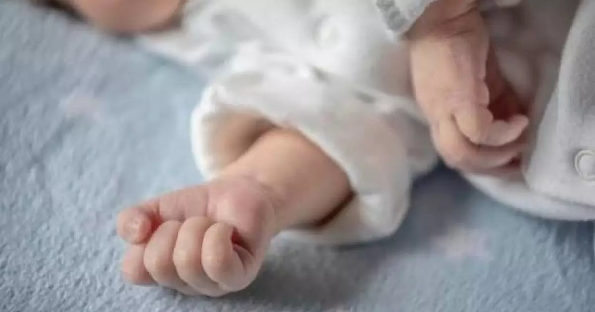  «Босандыру үшін 20 мың теңге сұраған»: Жамбыл облысында нәресте шетінеп кетті 