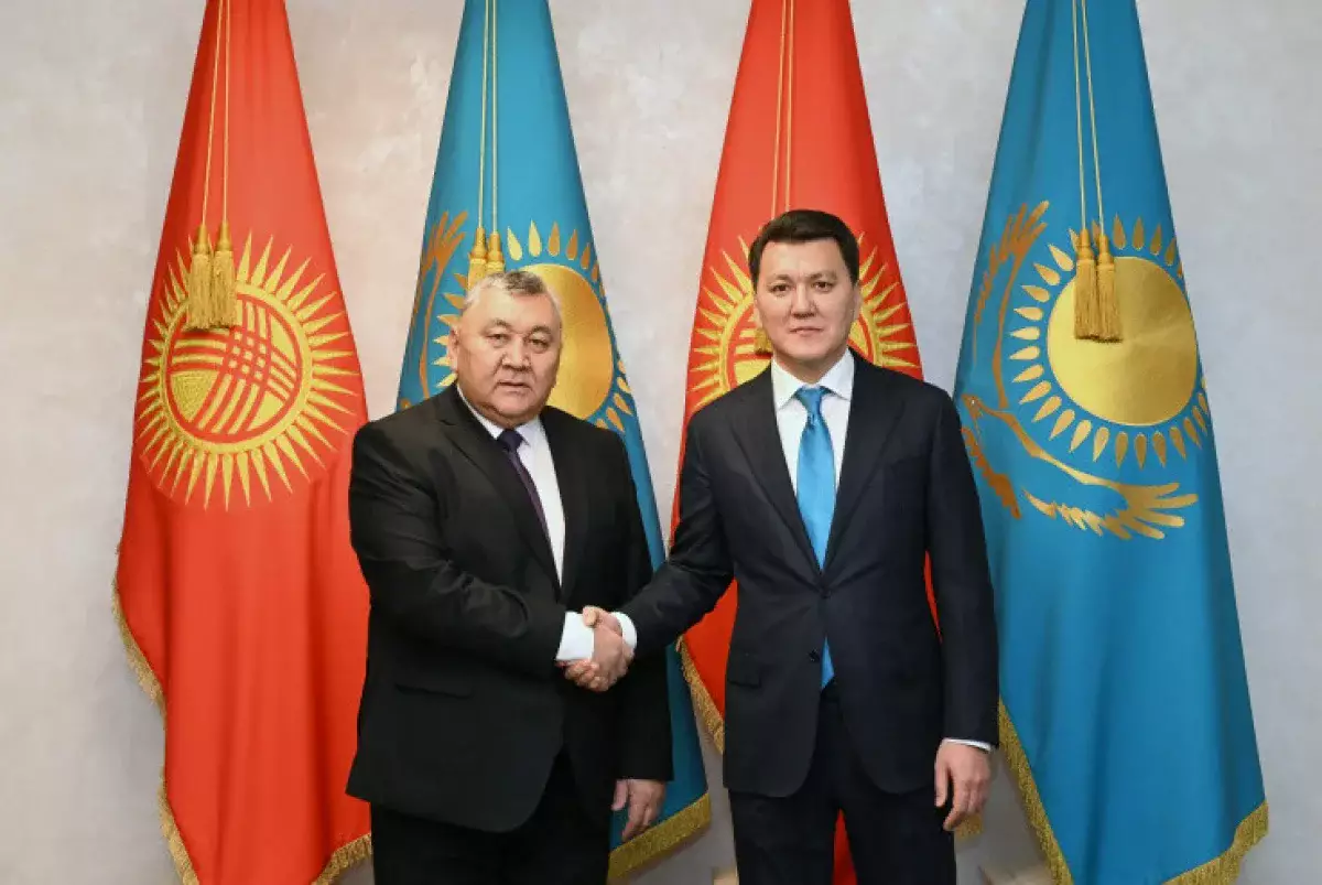 Ерлан Қарин Қырғыз Республикасының Мемлекеттік хатшысымен кездесті