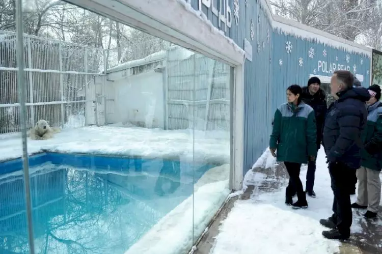 Алматы зообағы жаңғыртудан өтеді