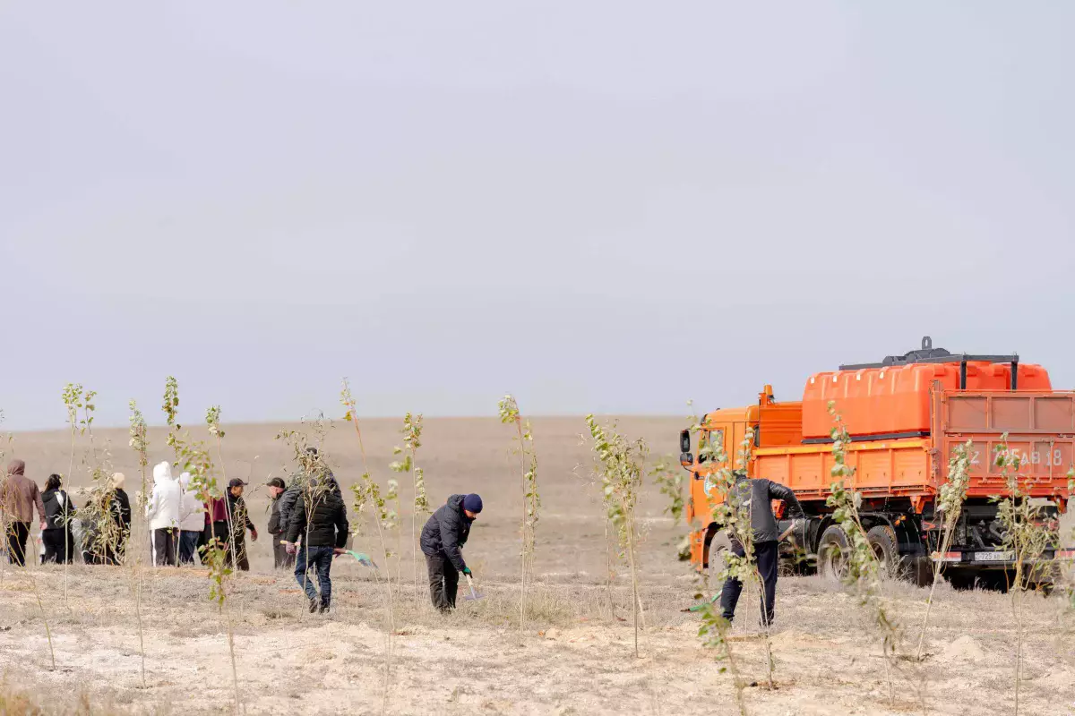 Таза Қазақстан: Өңірде тазалық жұмыстары қысы, жазы, тоқтаусыз жүргізілуі қажет - әкім