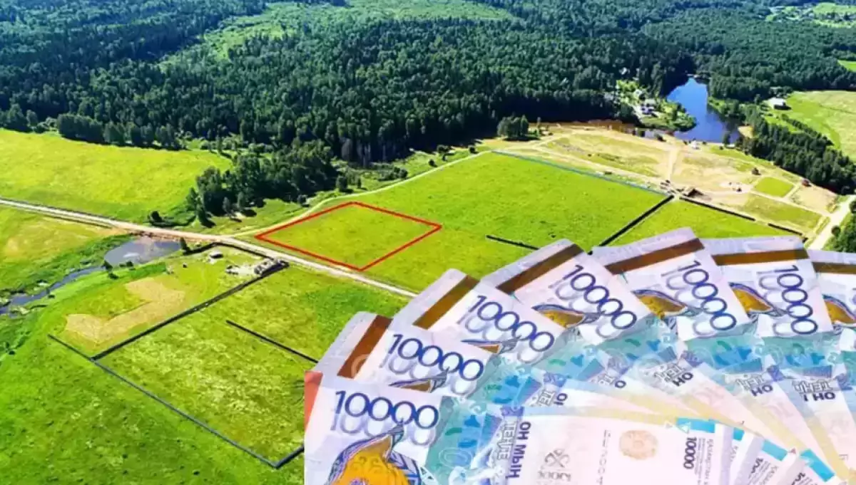 Әкім Алматы облысындағы жер учаскелерінің қытайлықтарға берілуін түсіндірді