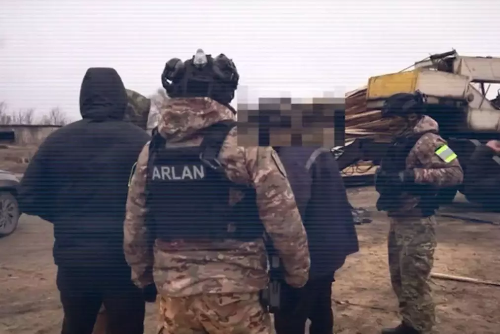 Вырубка сосны обернулась массовыми задержаниями костанайцев