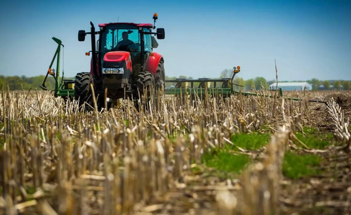 Область Абай стоит на пороге аграрного рывка: что предлагают сенаторы