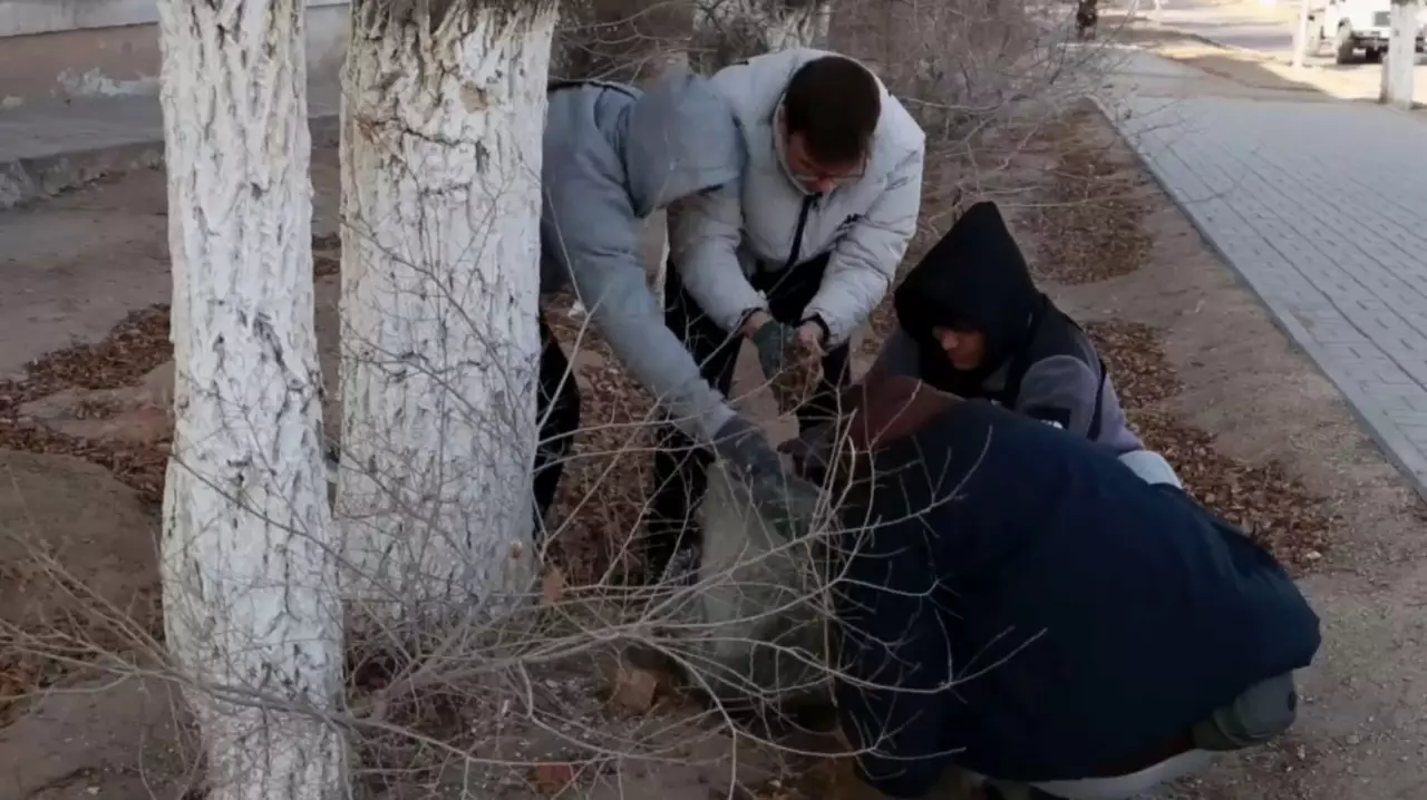 Таза Қазақстан: 400 субботников провели в Талдыкоргане