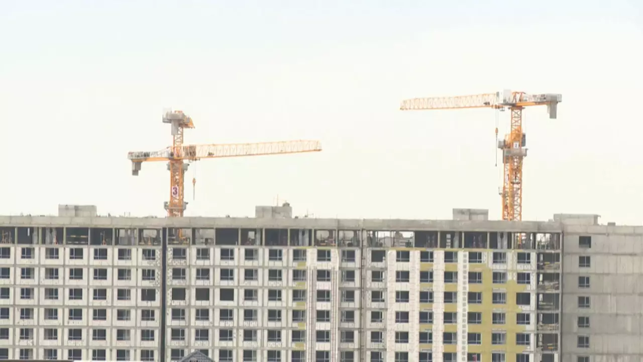 Алматы облысының өнім көлемі едәуір артты