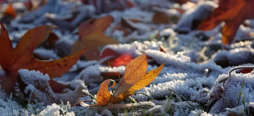 Штормовое предупреждение объявили в нескольких областях Казахстана
