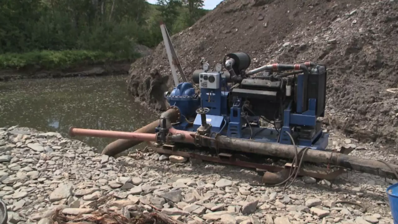 ШҚО-да алтынды заңсыз өндіргендер ұсталды