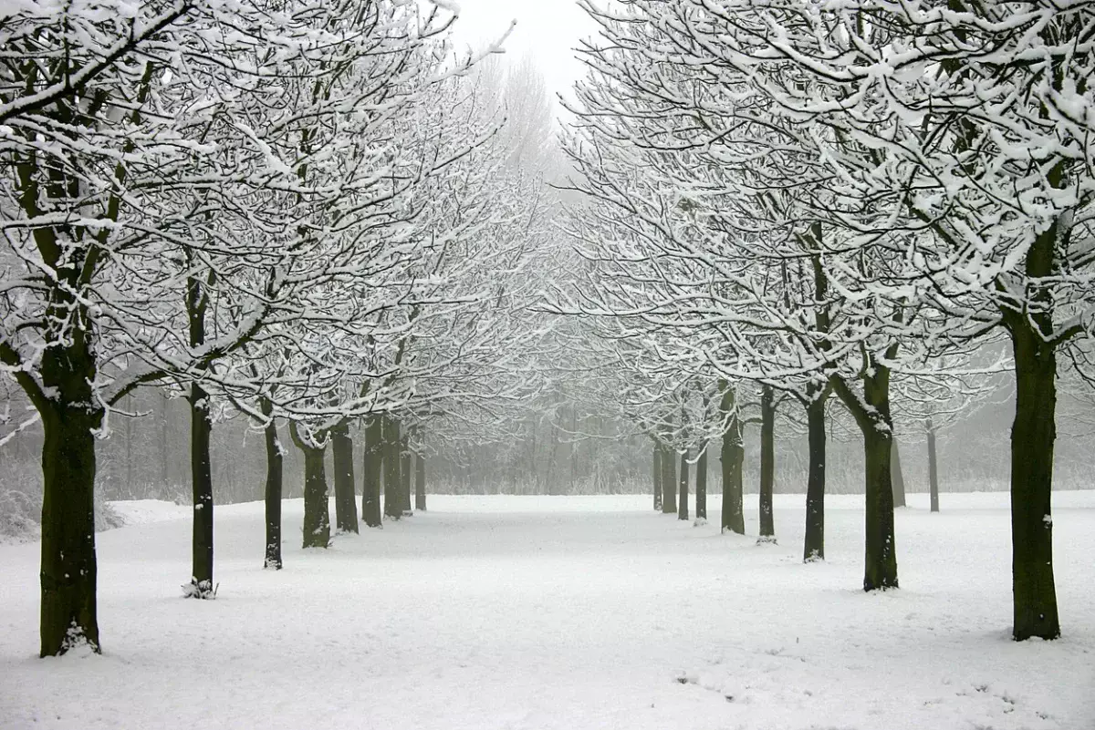 Метель и туман: штормовое предупреждение объявили на 28 ноября в Казахстане