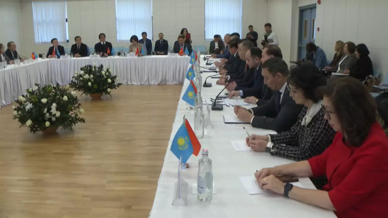 Казахстан и Кыргызстан укрепляют сотрудничество в сфере медицины