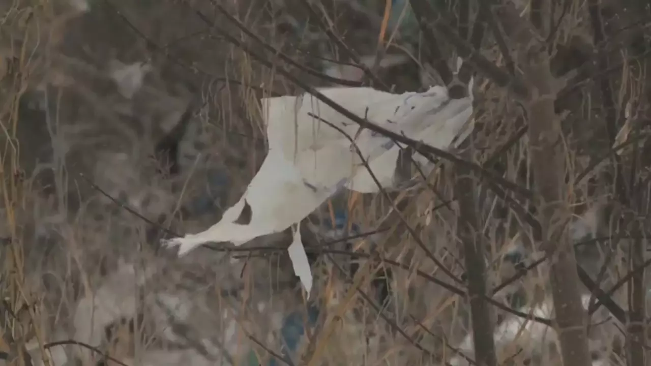 Өскемен қоқыс полигонынсыз қалуы мүмкін