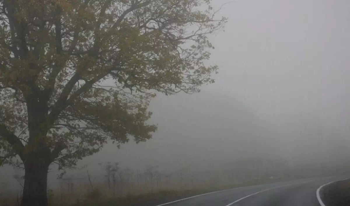 Қар жауып, көктайғақ болады - синоптиктердің ескертуі