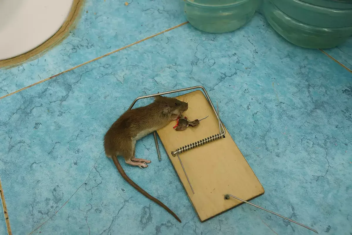 «Мы платили за воздух»: как отреагировали чиновники на коммунальный скандал в Актау - новости на Lada.kz 27.11.2025