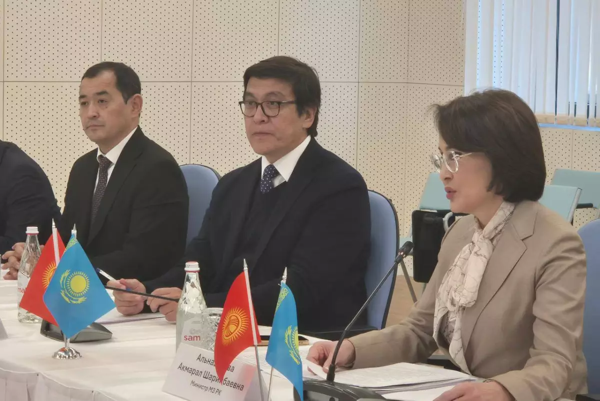 Казахстан и Кыргызстан договорились расширить доступ пациентов к детской онкогематологии
