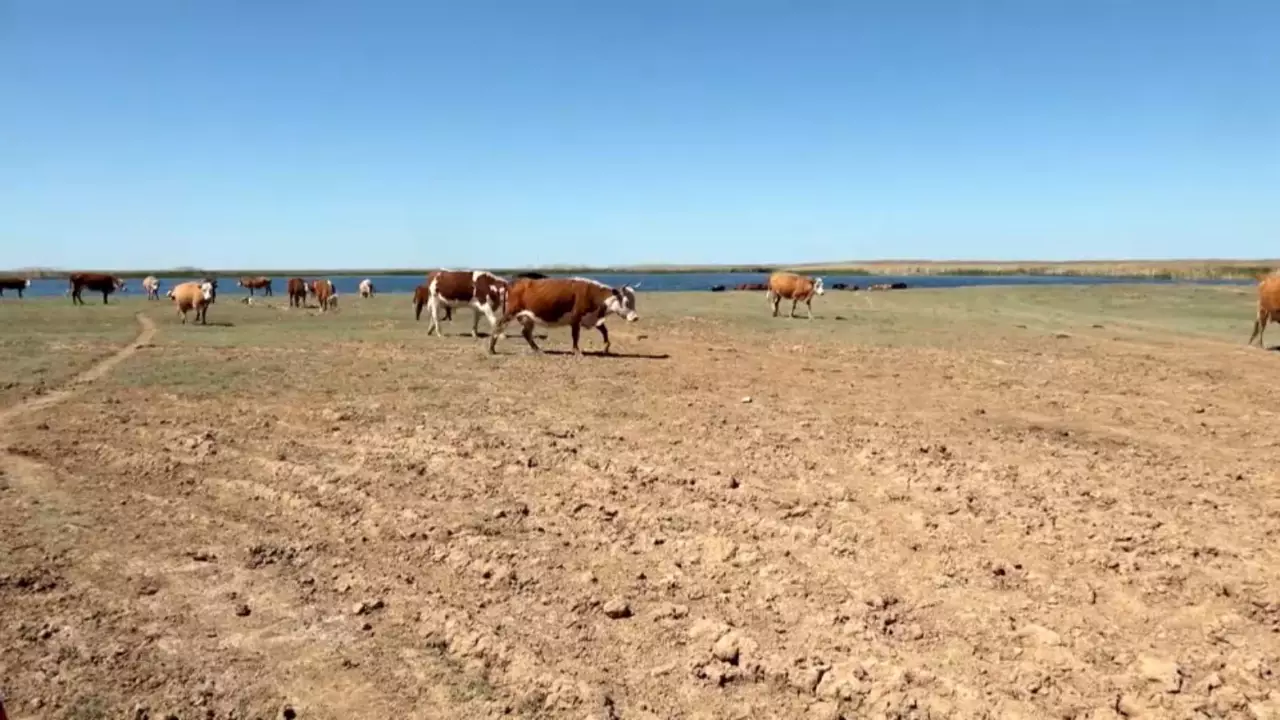Ауылға жеке инвестиция тарту қажет — Президент