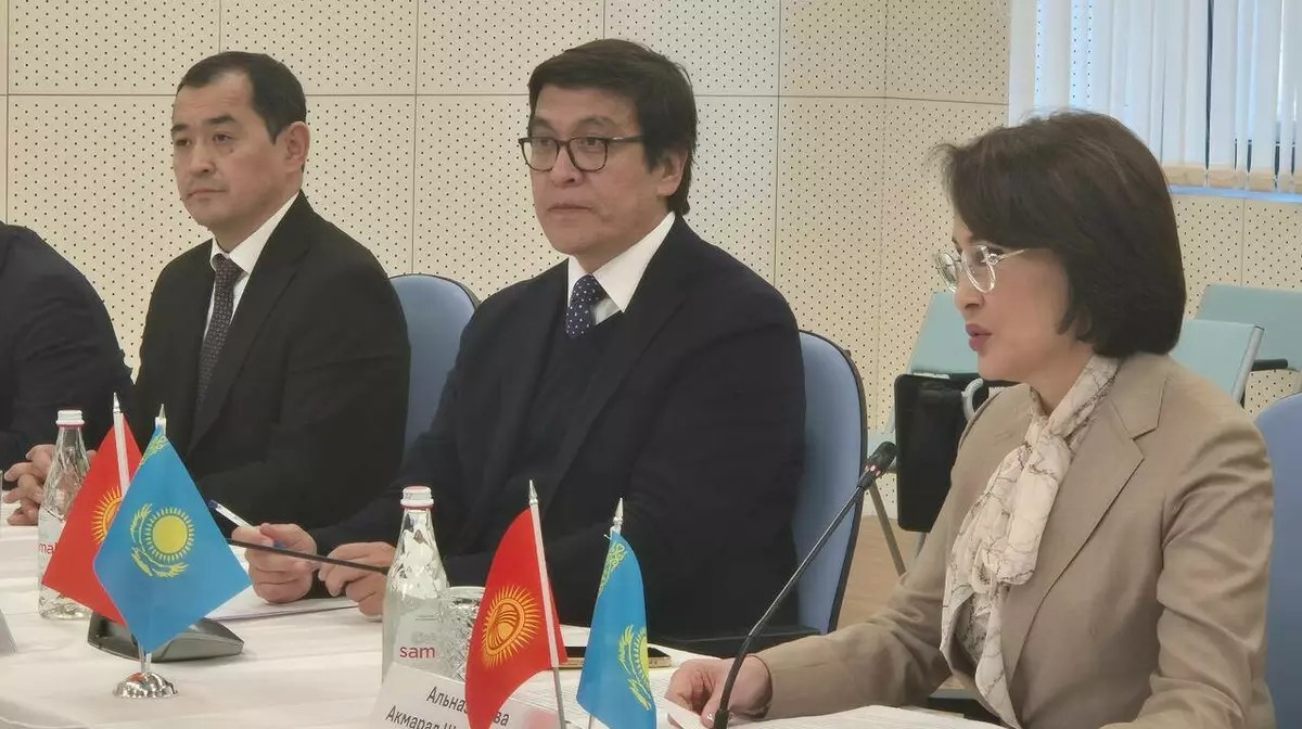 Казахстан и Кыргызстан укрепляют сотрудничество в сфере здравоохранения