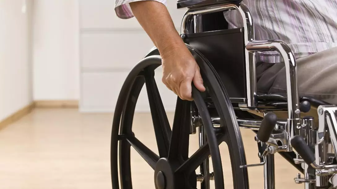 ЖИ мүгедектік дәрежесін анықтауға көмектеседі