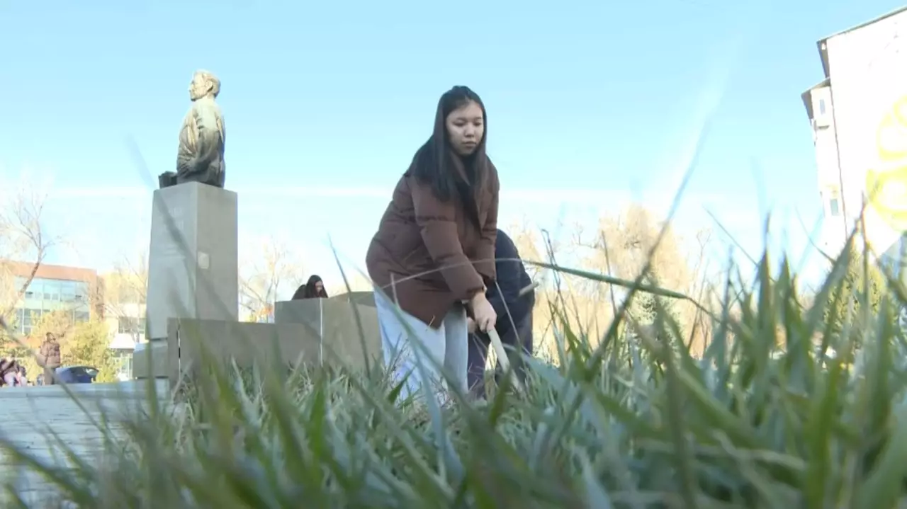 Талдықорғанда 400-ден астам сенбілік ұйымдастырылды