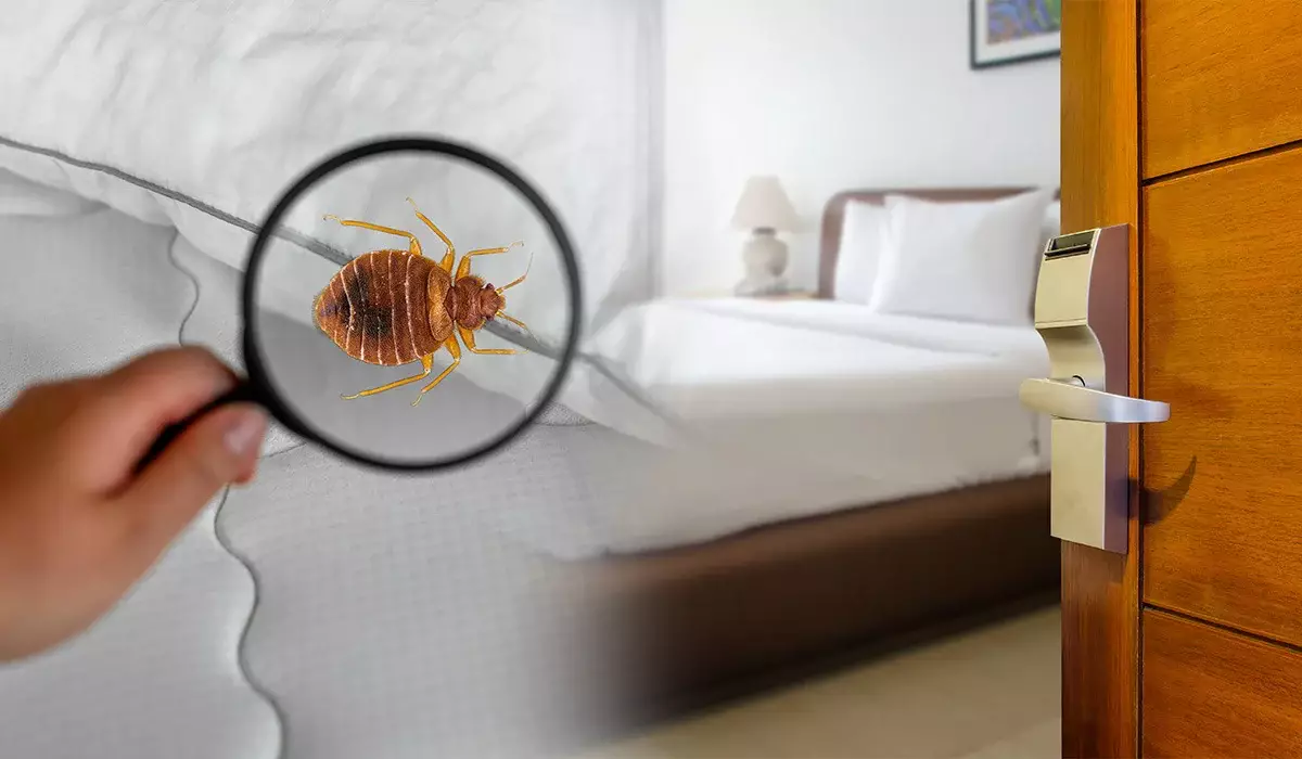 Қандаланың уынан көз жұмған – Түркияда түгелдей қаза тапқан отбасы тамақтан уланбаған болып шықты