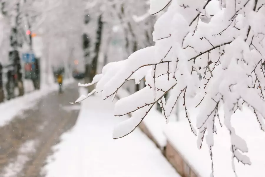 Қыс келді: алдағы күндері ауа райы қандай болады?