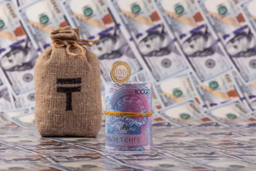 Тоқаев: “Салықты жұмыс істейтін және табыс табатын жерде төле“ қағидатын іске асырған жөн“