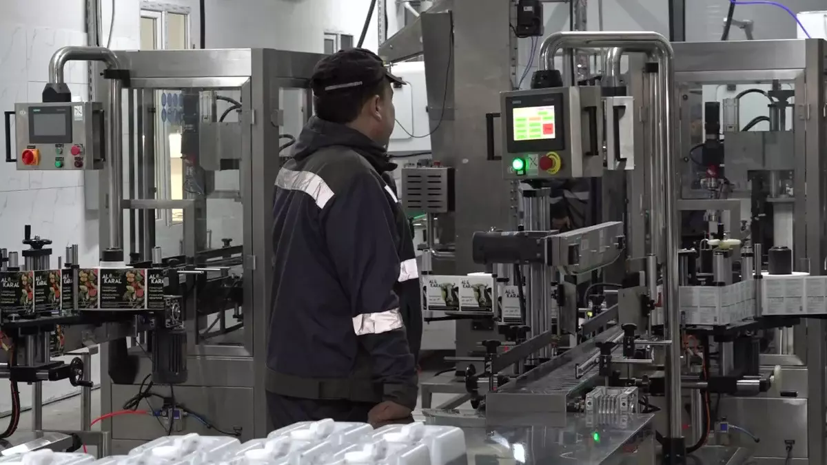 Қала келбеті: Алматыны көгалдандыруға арналған экологиялық өнімге сұраныс артқан