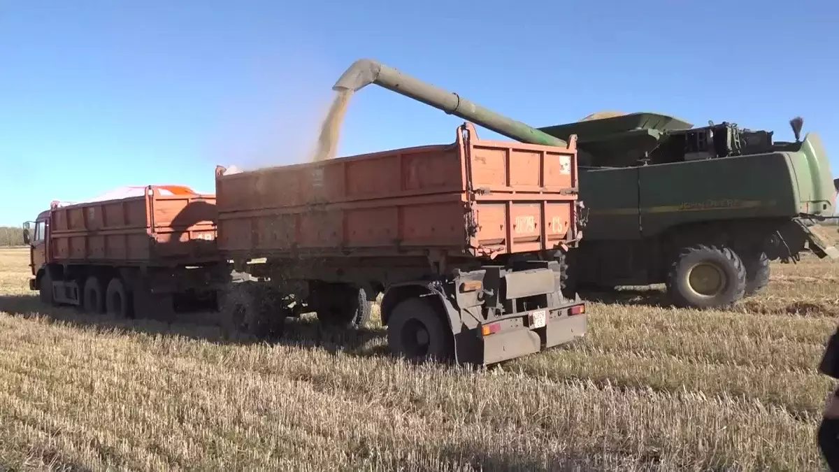 Үкімет астық экспортын қолдауға қосымша 7 млрд теңге бөлді