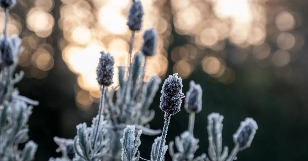 Похолодание обещают в мегаполисах Казахстана в пятницу.